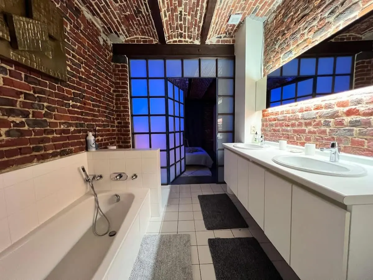 Loft Matyse - 3 Min To Manneken Pis Apartment Brussels 0*,  Belgium